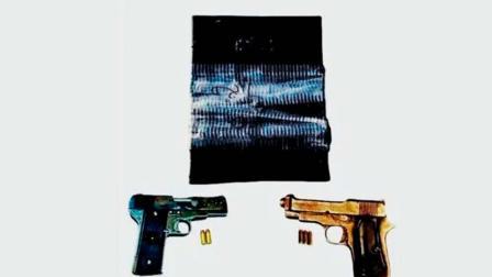 શરણપ્રીત પાસેથી એક P-86 હૅન્ડગ્રેનેડ, એક ૯ એમએમ ગ્લોક પિસ્તોલ, પાંચ જીવંત કારતૂસ અને ૬૫ ગ્રામ મેથામ્ફેટામાઇન જપ્ત કરવામાં આવ્યાં હતાં.