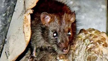 પ્રતીકાત્મક તસવીર