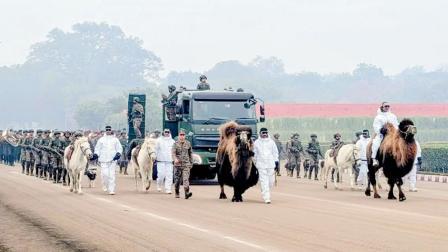 અત્યારથી આ ઍનિમલ ટીમની પ્રૅક્ટિસ શરૂ થઈ ગઈ છે