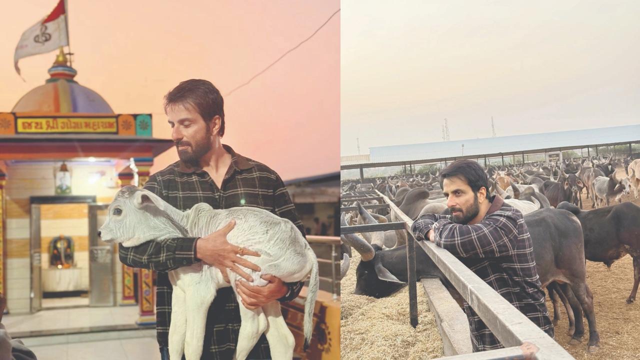 સોનુ સૂદ ગુજરાતના પાટણ જિલ્લાના સાંતલપુર તાલુકામાં આવેલી વરાહી ગૌશાળામાં