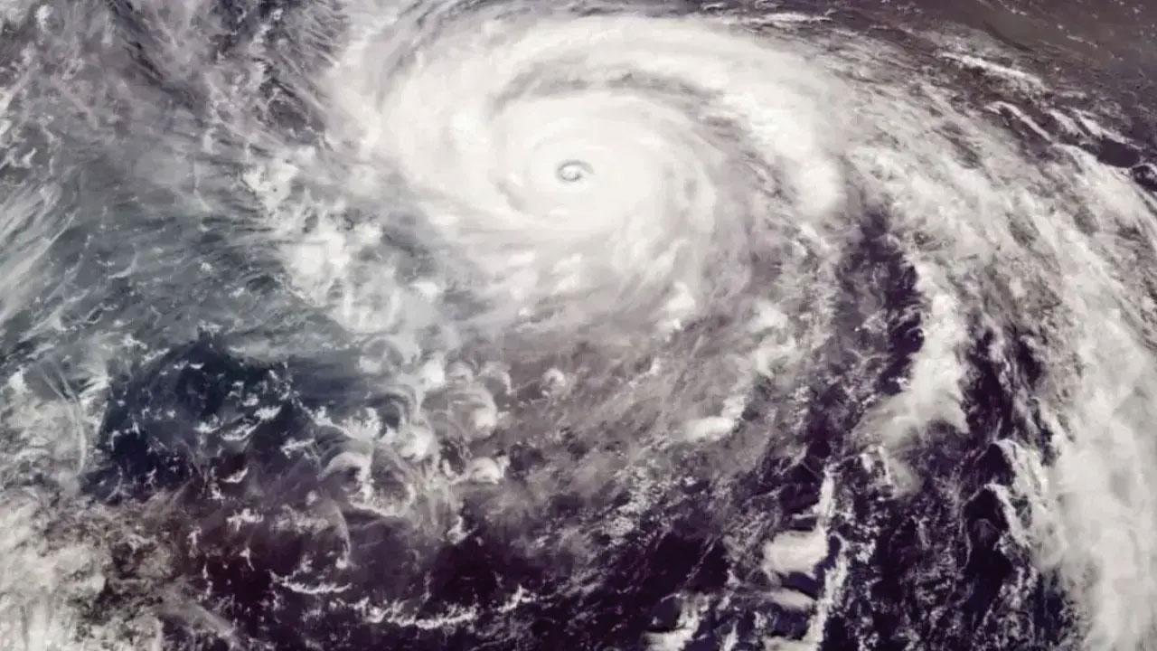 પ્રતીકાત્મક તસવીર