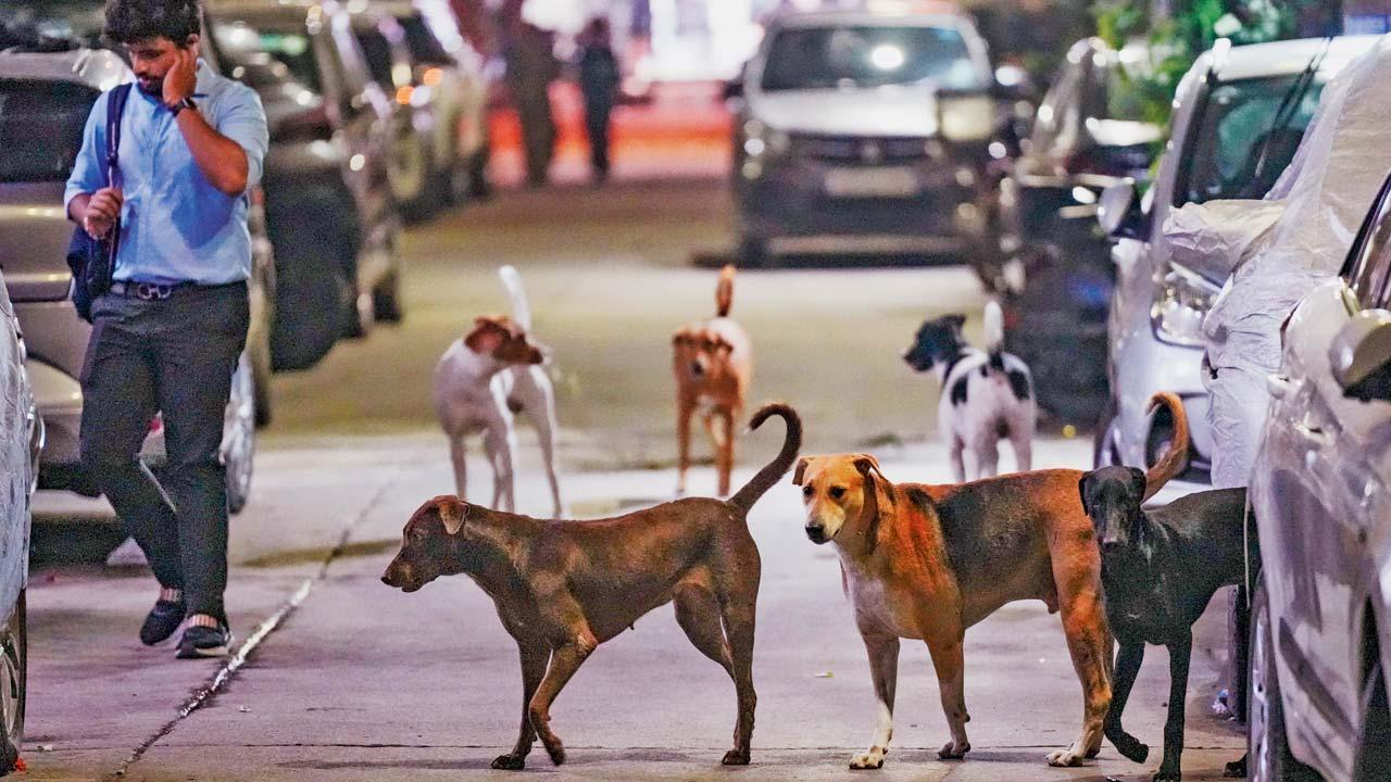 પ્રતીકાત્મક તસવીર