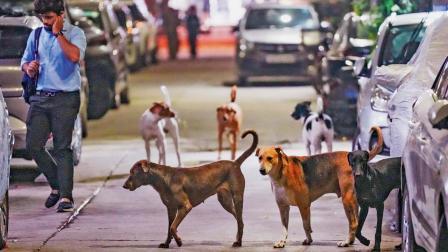 પ્રતીકાત્મક તસવીર