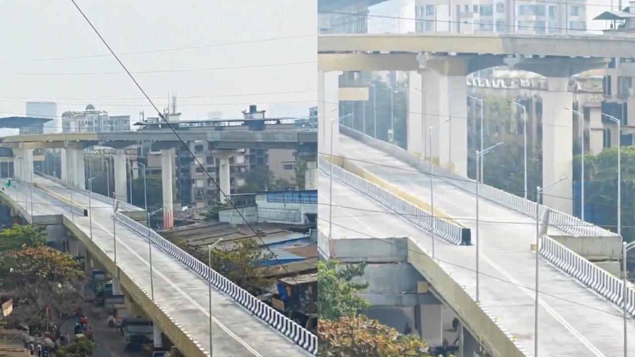 વાયરલ વીડિયોનો સ્ક્રીન ગરૅબ (તસવીર સૌજન્ય: સોશિયલ મીડિયા)