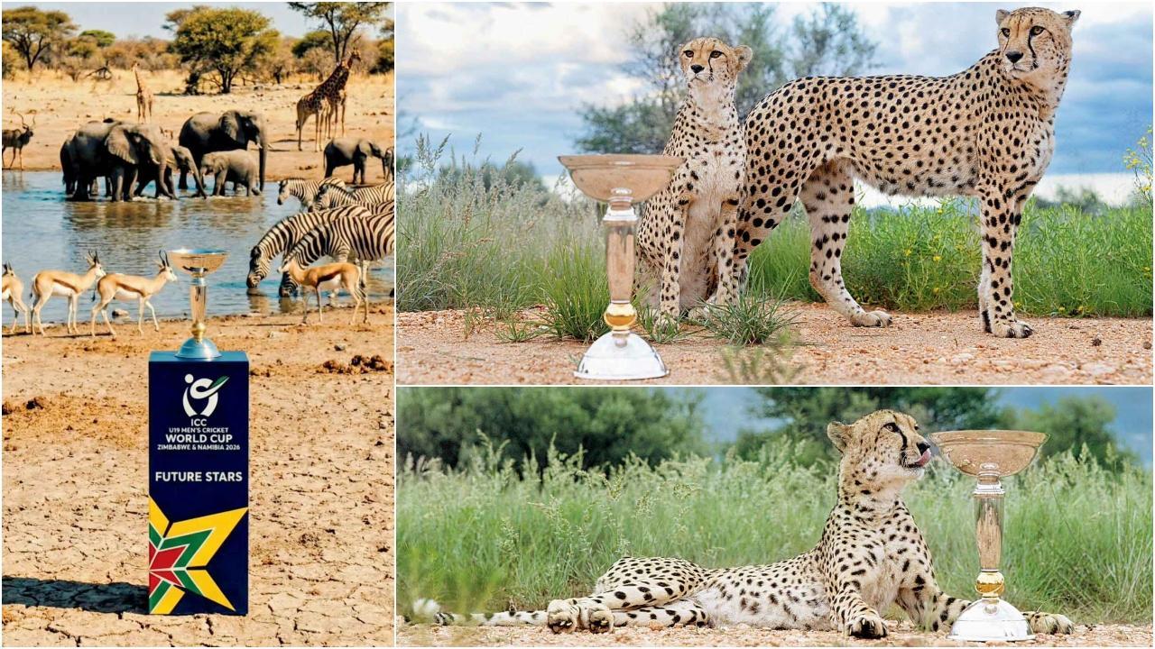 જંગલમાં ખતરનાક જાનવરો વચ્ચે પહોંચી અન્ડર-19 વન-ડે વર્લ્ડ કપની ટ્રોફી