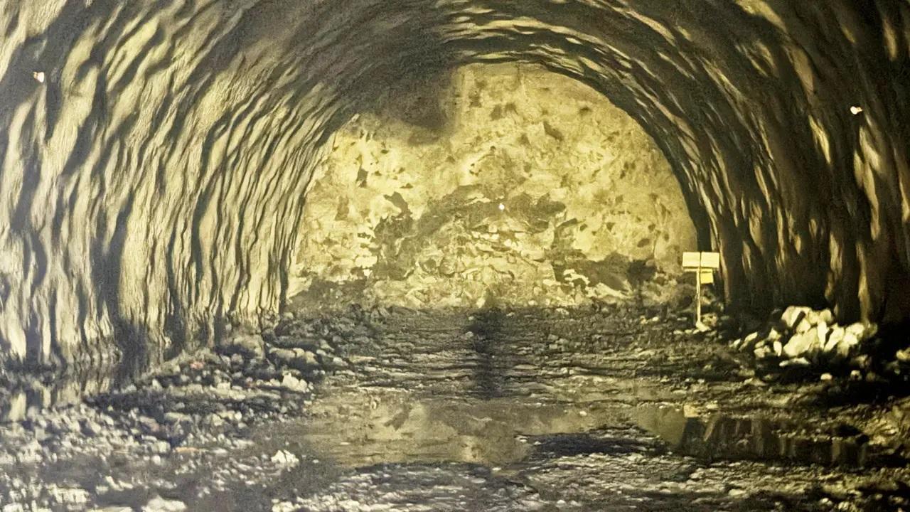 પ્રતીકાત્મક તસવીર