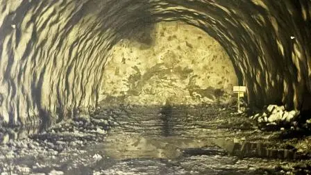 પ્રતીકાત્મક તસવીર