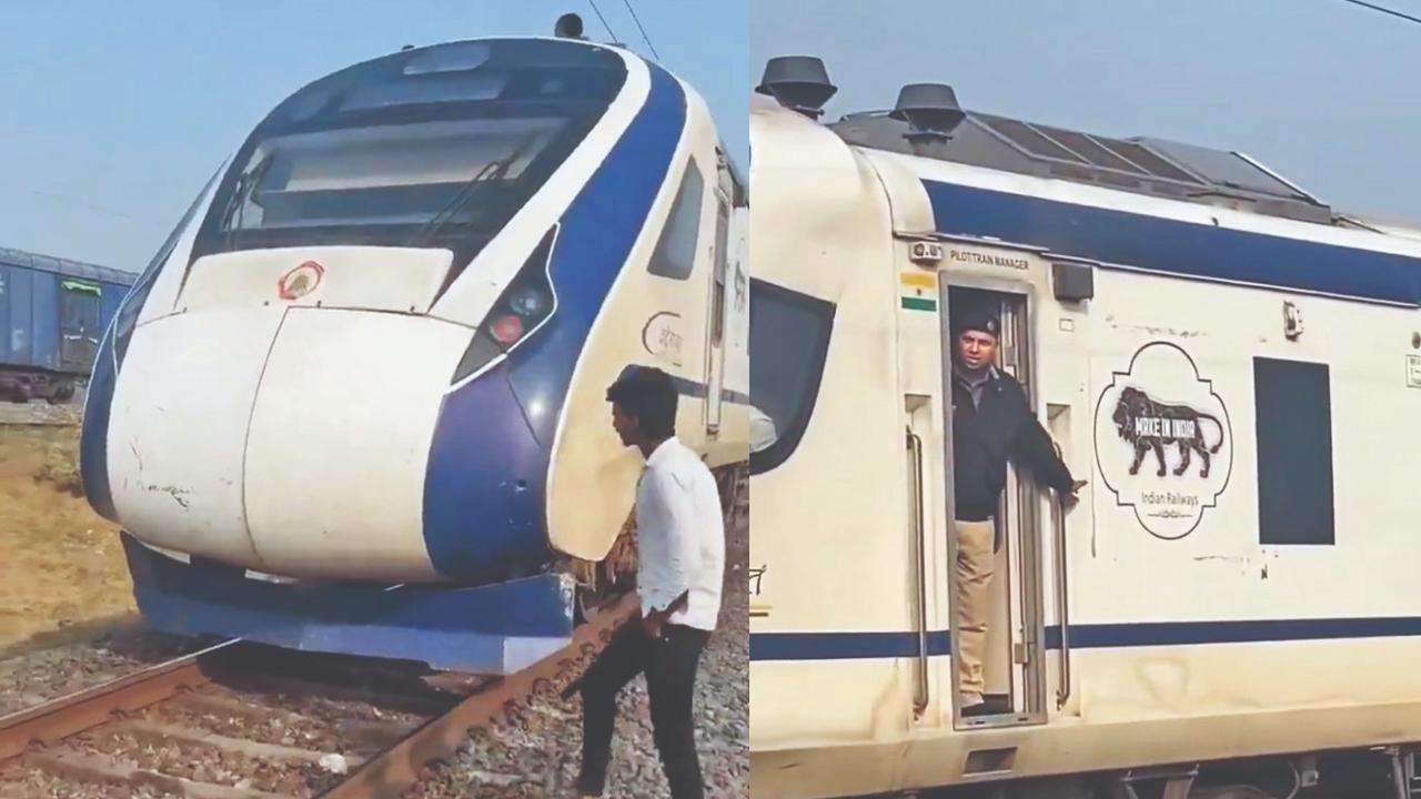 વાઇરલ વિડીયોમાંથી સ્ક્રીનશૉટ