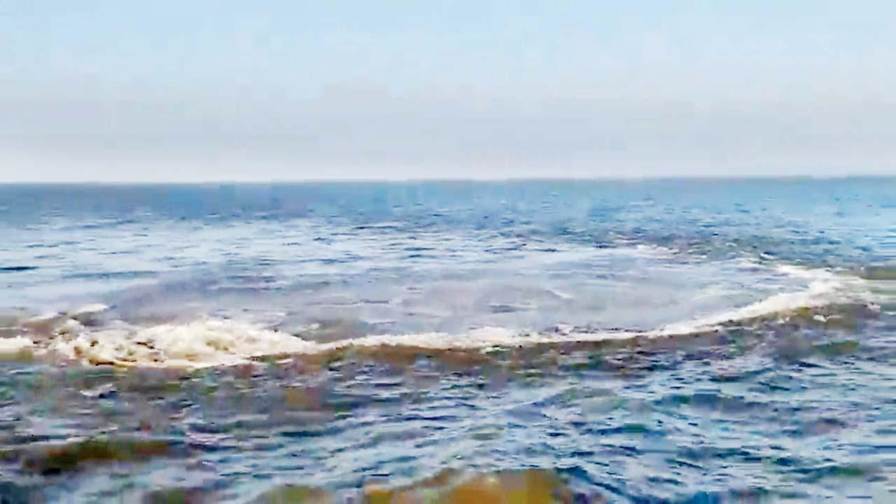 વાઇરલ વિડીયોમાંથી સ્ક્રીનશૉટ