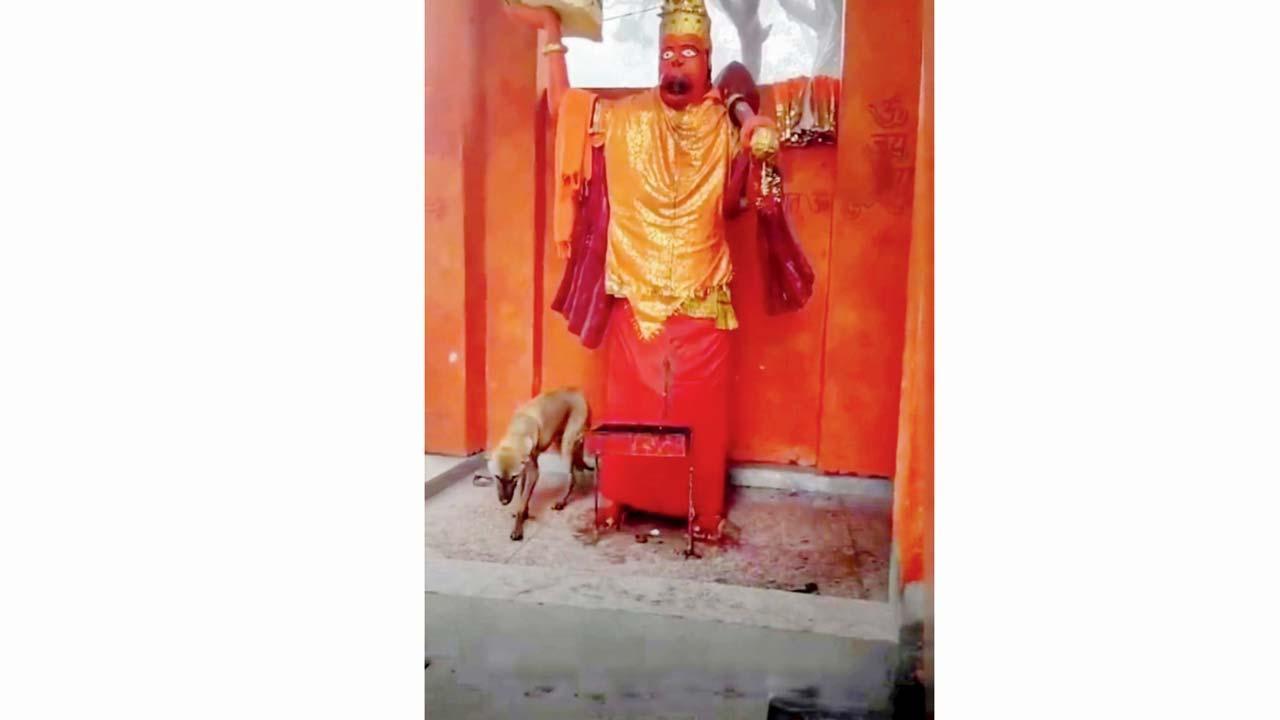 વાઇરલ વિડીયોમાંથી સ્ક્રીનશૉટ