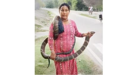 જાનકી દેવીએ હજારો સાપ રેસ્ક્યુ કર્યા છે
