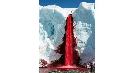 લોહીનો ધોધ