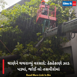 થાણેને થથરાવ્યું વરસાદે: ઠેકઠેકાણે ઝાડ પડ્યાં, જોઈ લો તસવીરોમાં