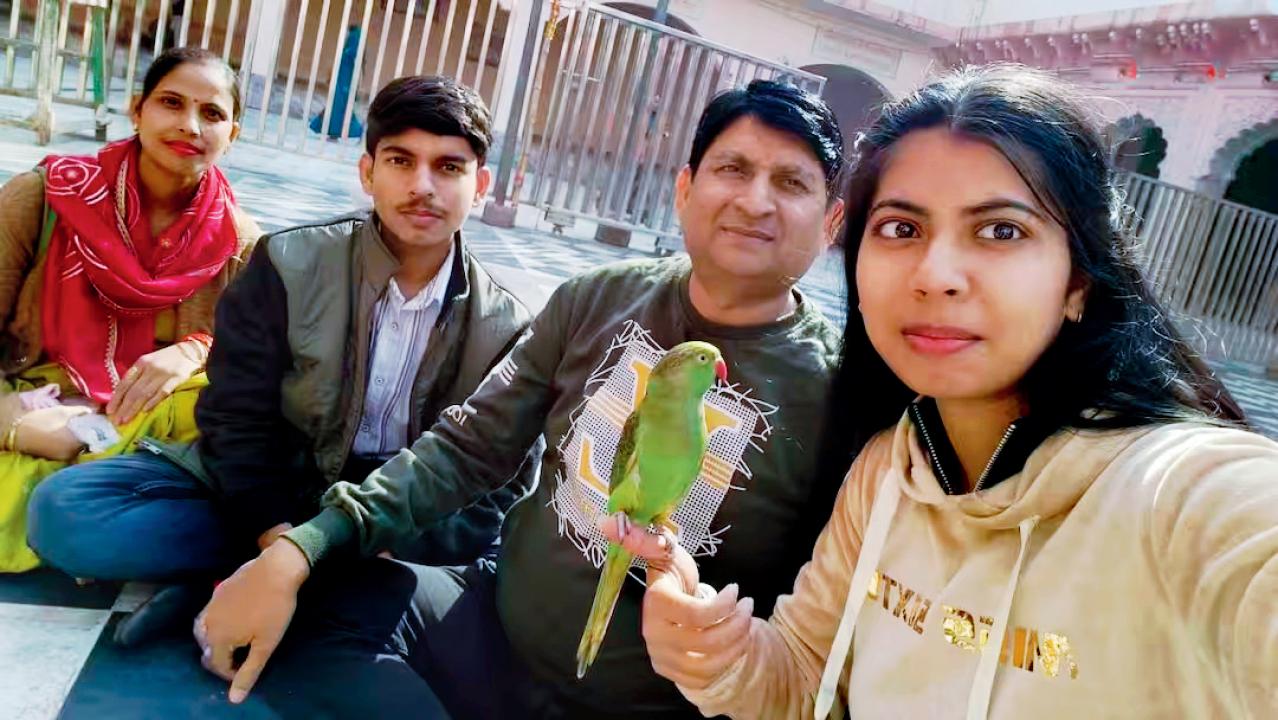 જો માઉ નામના ખોવાઈ ગયેલા પોપટને શોધી આપશો તો મળશે ૫૦,૦૦૦ રૂપિયાનું ઇનામ