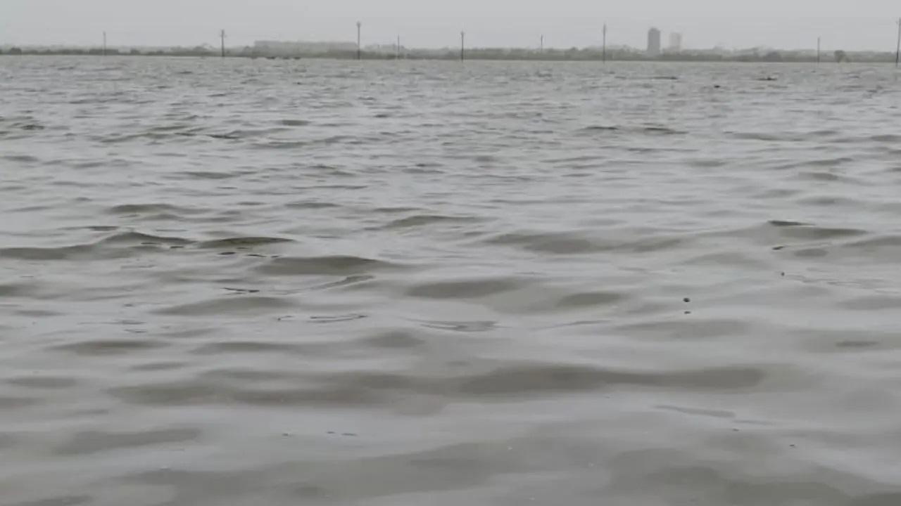સતત ભારે વરસાદને કારણે વસઈ-વિરાર પટ્ટાના વિસ્તારોને ભારે અસર થઈ છે.