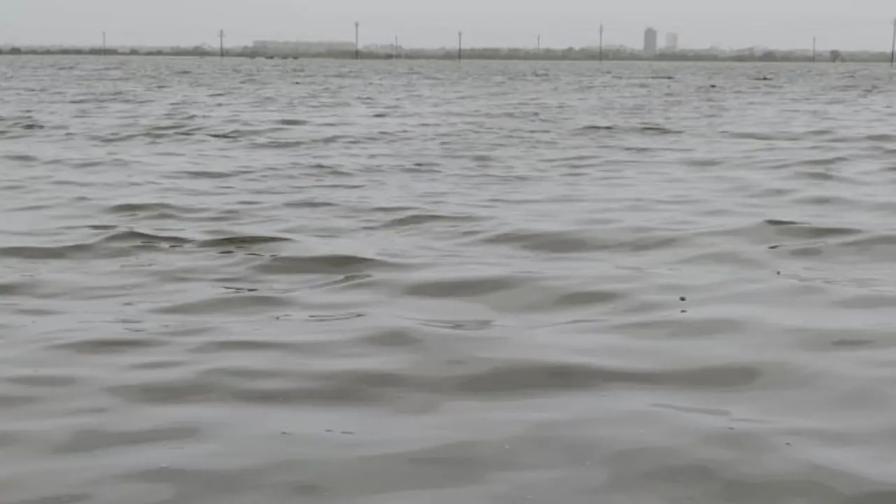 સતત ભારે વરસાદને કારણે વસઈ-વિરાર પટ્ટાના વિસ્તારોને ભારે અસર થઈ છે.