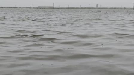 સતત ભારે વરસાદને કારણે વસઈ-વિરાર પટ્ટાના વિસ્તારોને ભારે અસર થઈ છે.