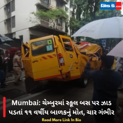 Mumbai: ચેમ્બુરમાં સ્કૂલ બસ પર ઝાડ પડતાં ૧૧ વર્ષીય બાળકનું મોત, ચાર ગંભીર
