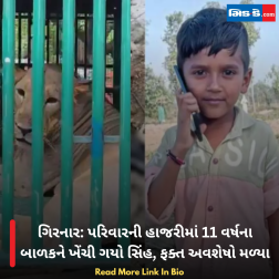 ગિરનાર: પરિવારની હાજરીમાં 11 વર્ષના બાળકને ખેંચી ગયો સિંહ, ફક્ત અવશેષો મળ્યા