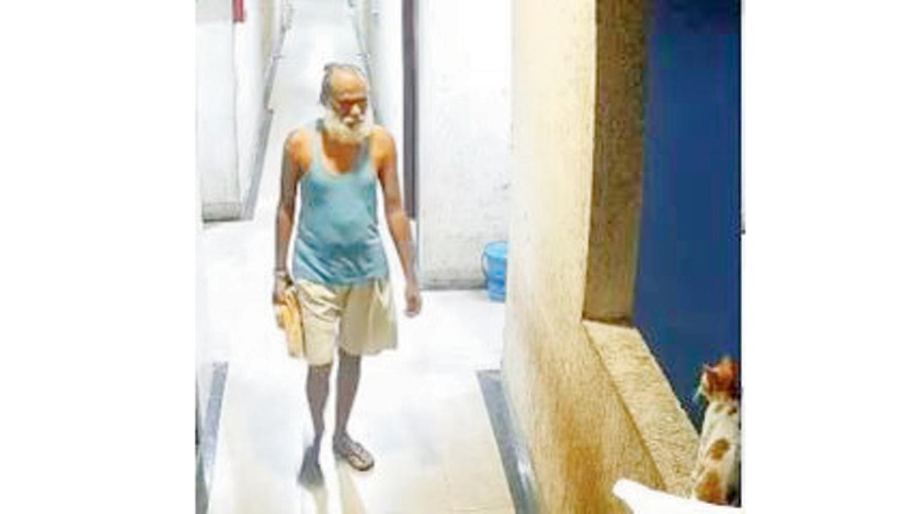 આ વ્યક્તિએ બિલાડીને ધક્કો માર્યો હતો.