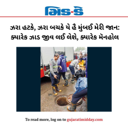 ઝરા હટકે, ઝરા બચકે યે હૈ મુંબઈ મેરી જાન: ક્યારેક ઝાડ જીવ લઈ લેશે, ક્યારેક મૅનહોલ