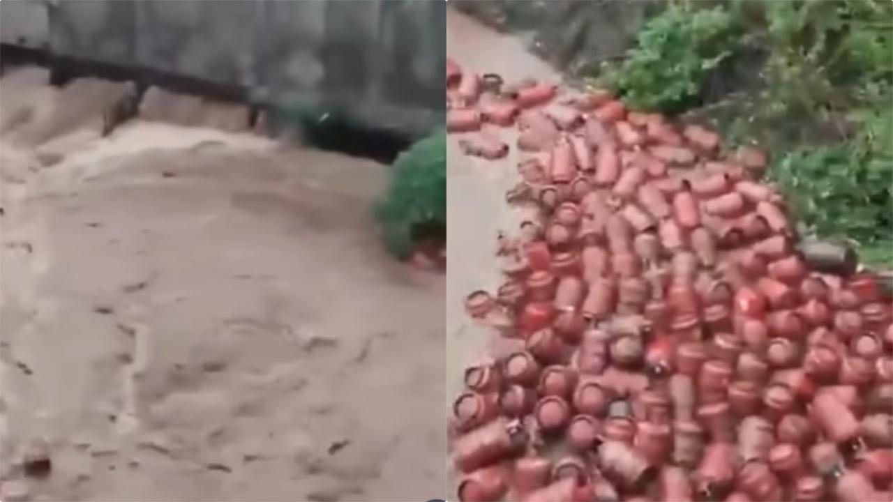 વાઇરલ વિડીયોમાંથી સ્ક્રીનશૉટ
