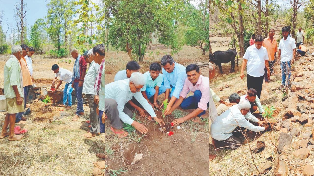 ગામમાં એક પરિવારમાં દીકરીનો જન્મ થતાં અને બીજા પરિવારમાં સ્વજનનું મૃત્યુ થતાં સંકલ્પ મુજબ પરિવારજનોએ છોડ વાવ્યા હતા. 