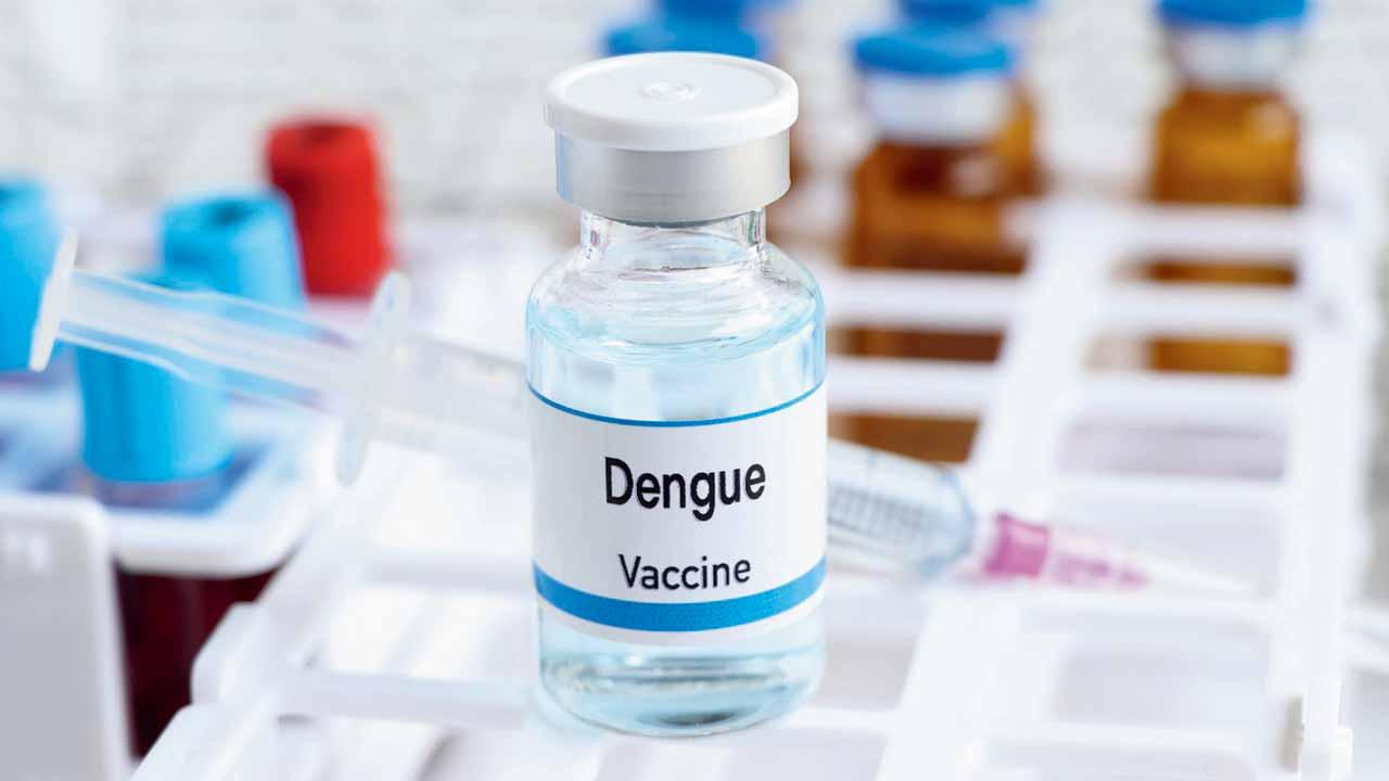 પ્રતીકાત્મક તસવીર