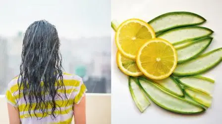 વાળની કરો પ્રી-મૉન્સૂન કૅર