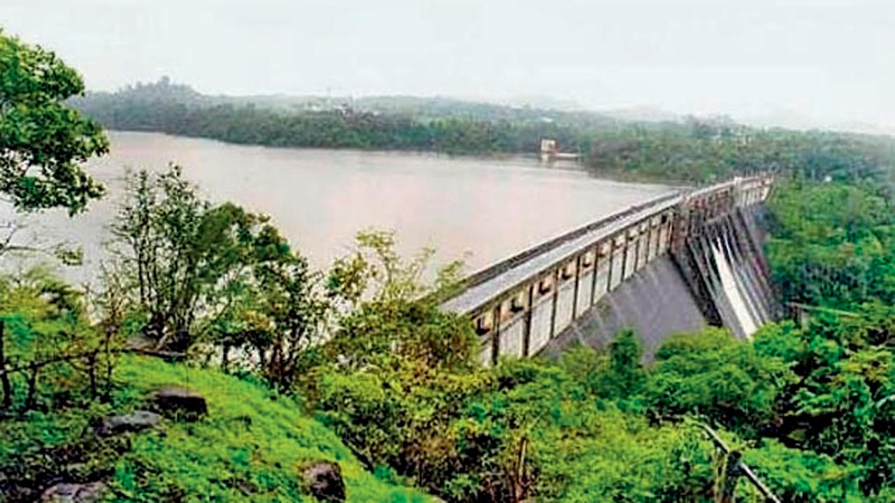 પ્રતીકાત્મક તસવીર