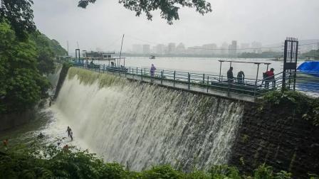 પ્રતીકાત્મક ફાઇલ તસવીર