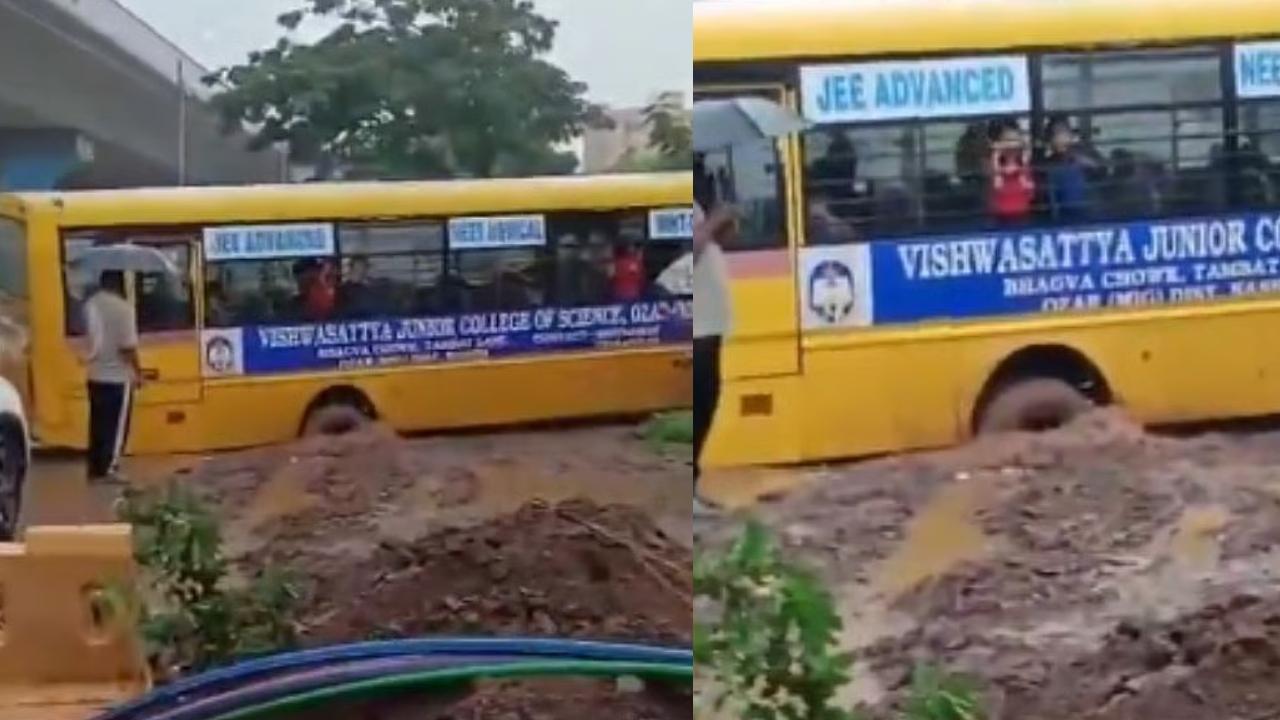 વાયરલ થયેલા વીડિયોમાંથી લીધેલા સ્ક્રિનશોટ