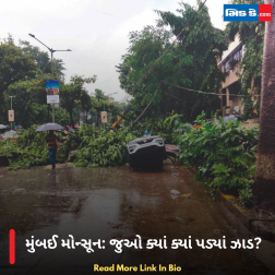 મુંબઈ મોન્સૂન: જુઓ ક્યાં ક્યાં પડ્યાં ઝાડ?