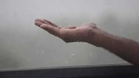 પ્રતીકાત્મક ફાઇલ તસવીર