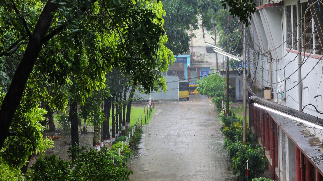 પ્રતીકાત્મક ફાઇલ તસવીર