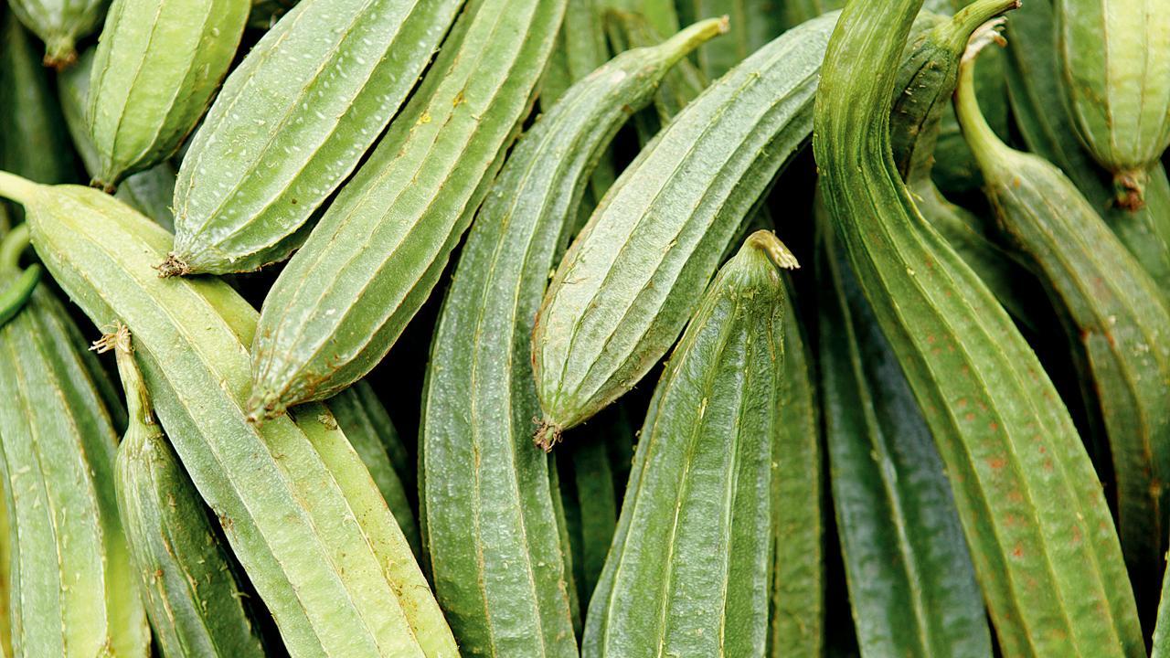 પ્રતીકાત્મક તસવીર