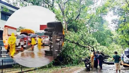 થાણેના ઘોડબંદર રોડ પર પલટી ગયેલી ટ્રક અને જે.બી. વાચ્છા સ્કૂલના મુખ્ય પ્રવેશદ્વાર પાસે પડેલું વૃક્ષ.