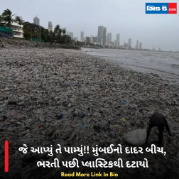 જે આપ્યું તે પામ્યું!! મુંબઈનો દાદર બીચ, ભરતી પછી પ્લાસ્ટિકથી દટાયો