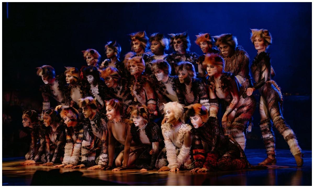 ‘CATS’ને 50થી વધુ દેશોમાં 77 મિલિયનથી વધુ લોકો જોઈ ચૂક્યા છે