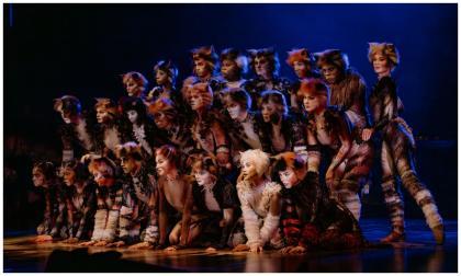 ‘CATS’ને 50થી વધુ દેશોમાં 77 મિલિયનથી વધુ લોકો જોઈ ચૂક્યા છે