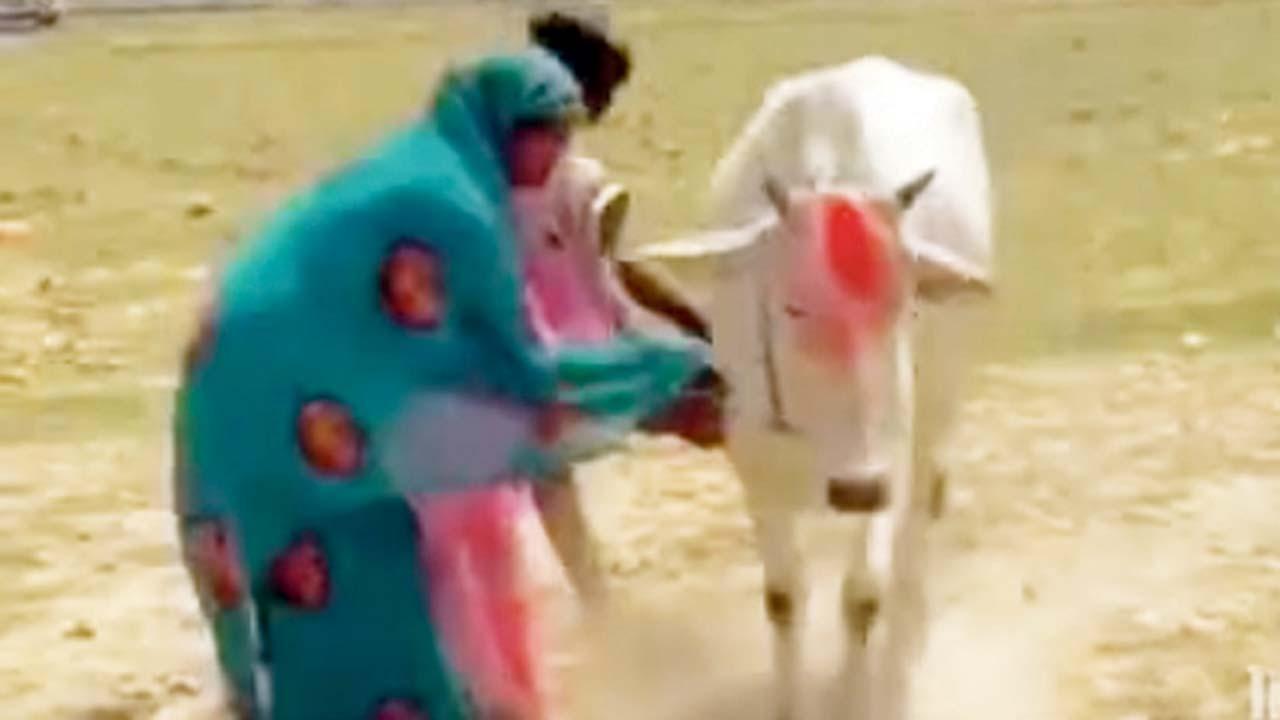 વાઇરલ વિડીયોમાંથી સ્ક્રીનશૉટ