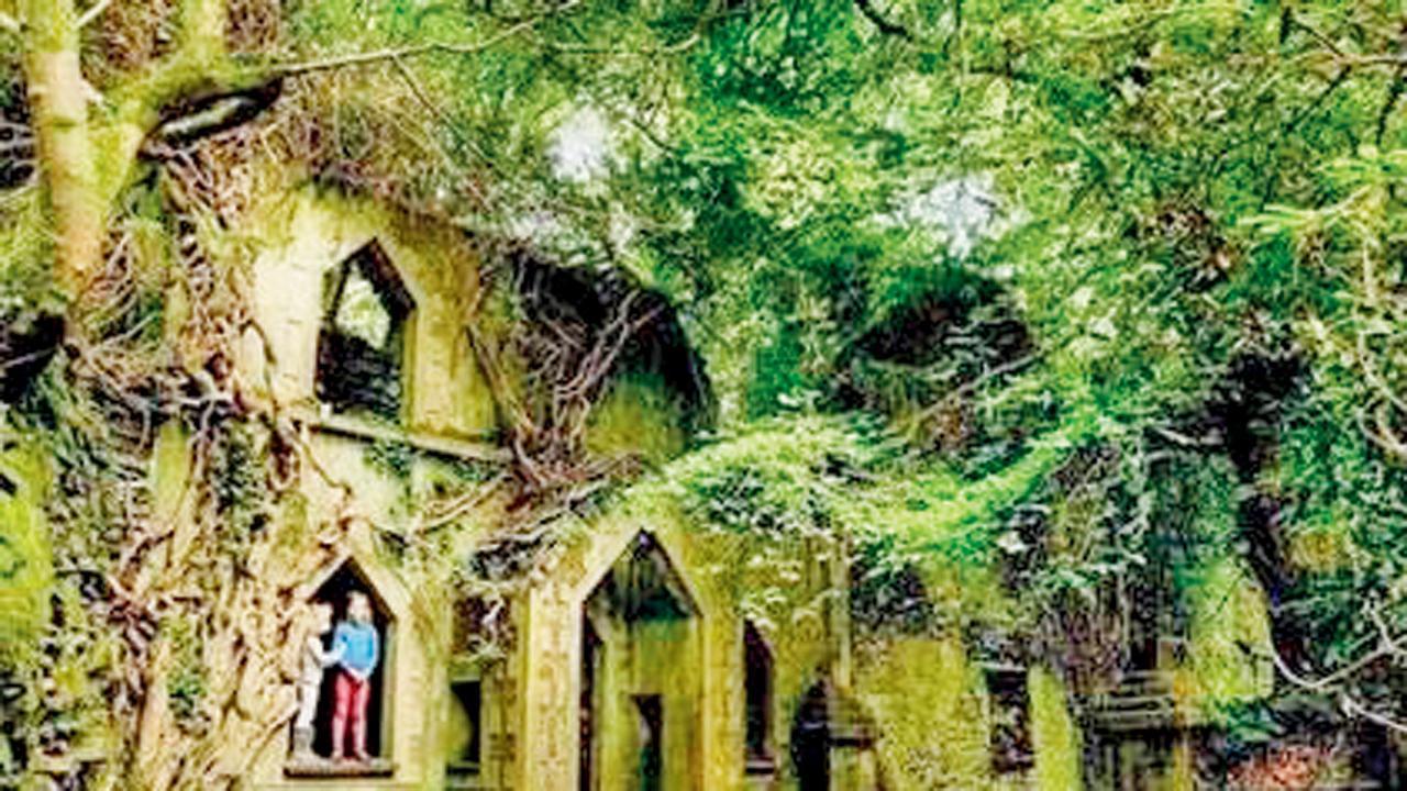 ઘુમક્કડોએ તાજેતરમાં આ ગામની તસવીરો અને વિડિયો સોશ્યલ મીડિયામાં શૅર કર્યાં છે