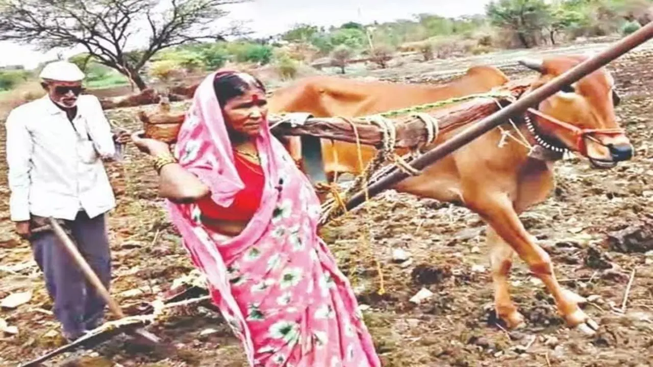 ફાઇલ તસવીર