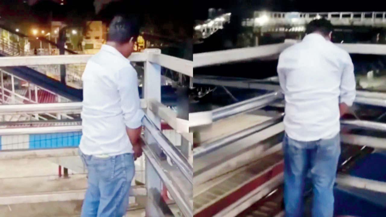 વાઇરલ વિડીયોમાંથી સ્ક્રીનશૉટ