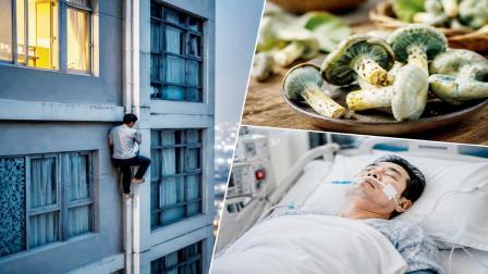 શૂએ ઘરમાં જંગલી મશરૂમ ઉગાડ્યાં હતાં