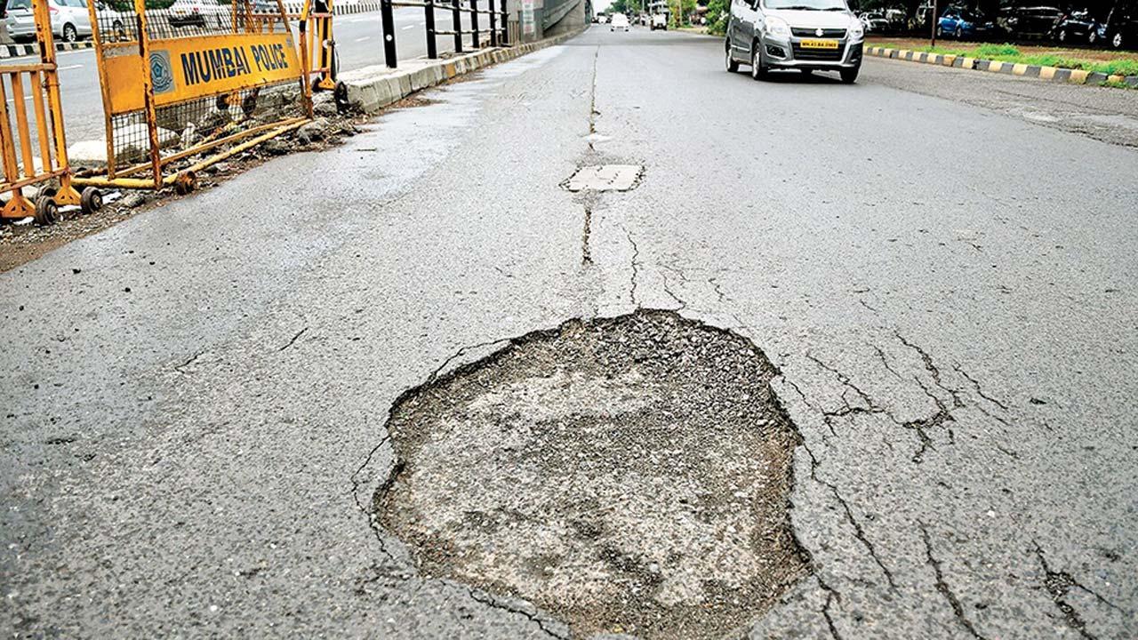 પ્રતીકાત્મક તસવીર