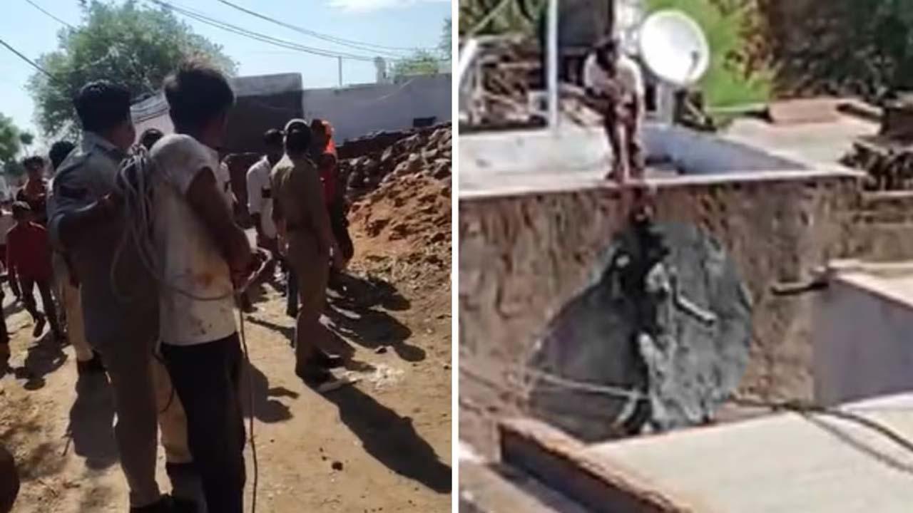 વાઇરલ વિડીયોમાંથી સ્ક્રીનશૉટ