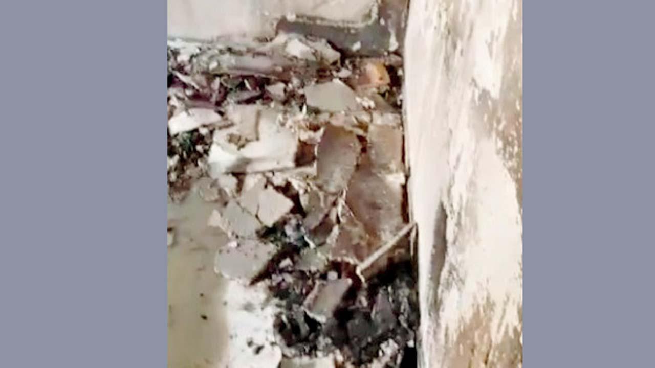 પ્રતીકાત્મક તસવીર
