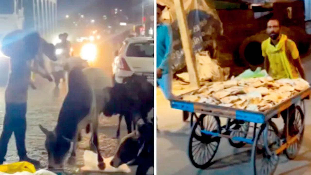 તસવીર સૌજન્યઃ સોશ્યલ મીડિયા