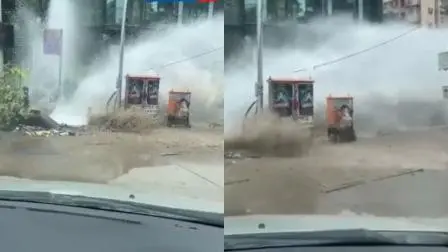 વીડિયોમાંથી લીધેલા સ્ક્રિનશોટ